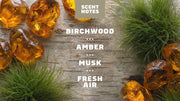 Birchwood Breeze - Simple Outdoor Lather