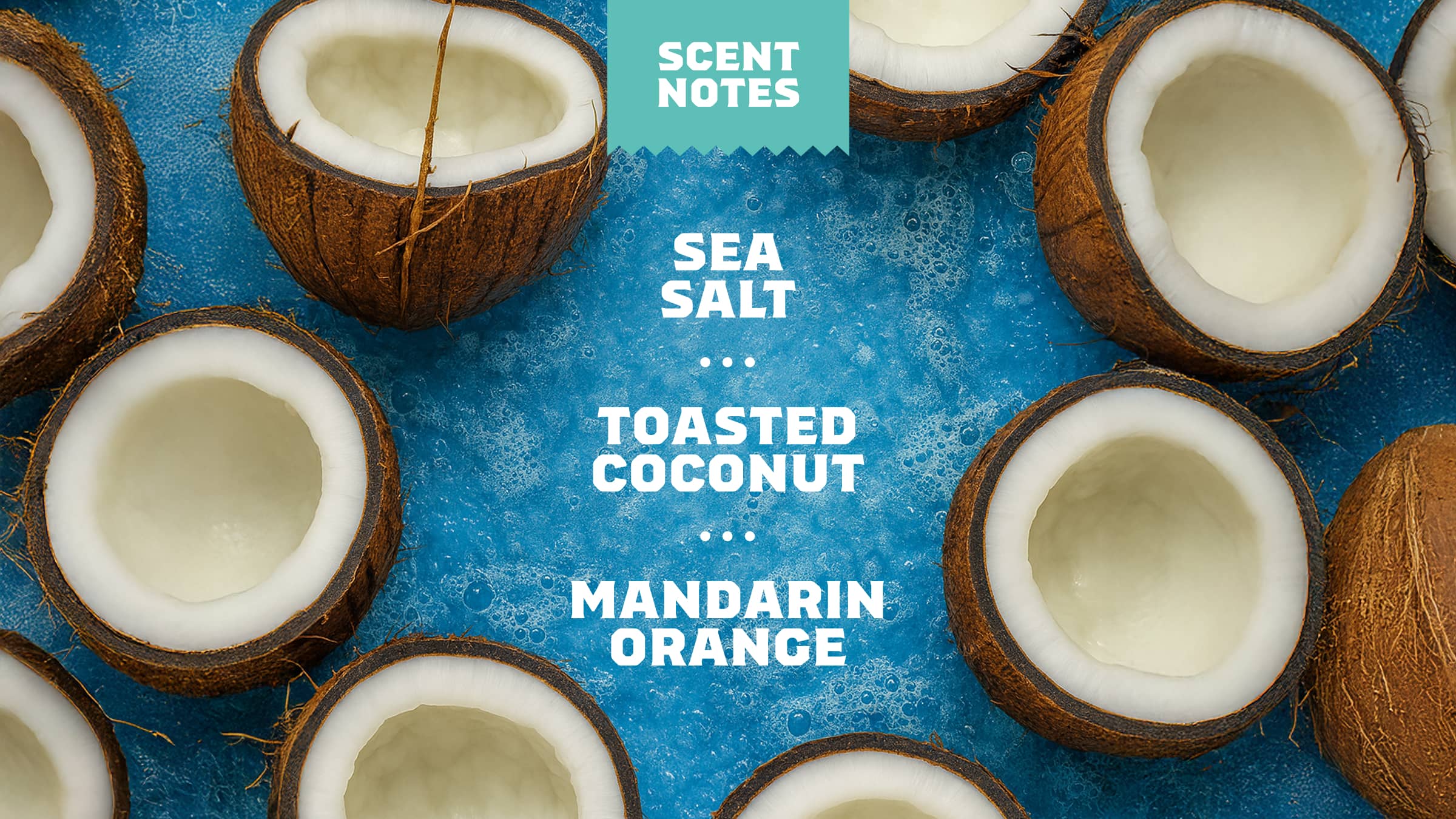 14 oz Coconut Castaway Body Wash - Simple Trail Lather