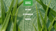 Cool Fresh Aloe - Classic Outdoor Bar