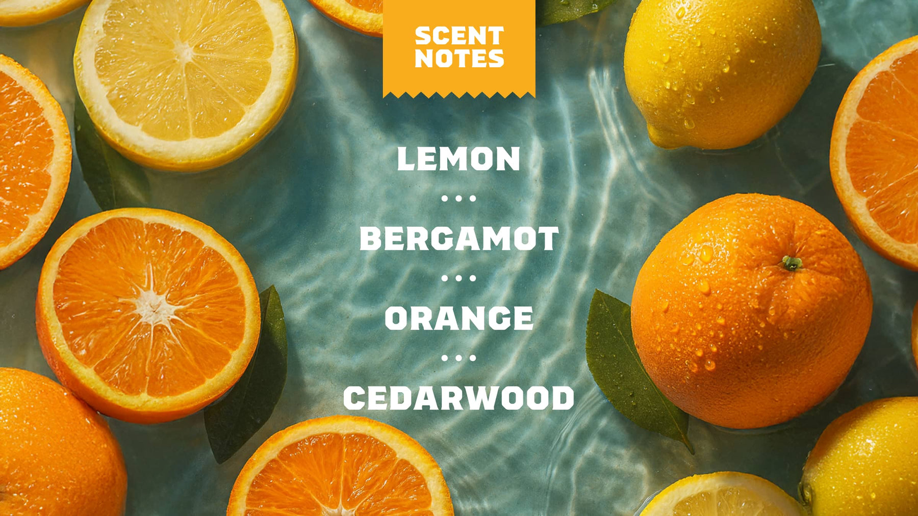 Summer Citrus - Morning Wash